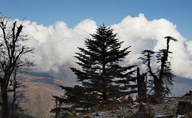 East India, Arunachal Pradesh. Picturesque view from a height of 3250m on the snow-capped peaks of the Southern Himalayas on the border with Nepal.