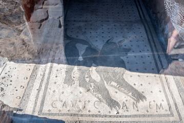 POMPEII, ITALY - MAY 04, 2022 - Famous floor mosaic of a dog and the quotation Cave Canem in...