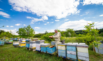 Countryside apiary honeybee. Beekeeping wooden honeycombs on landscape.