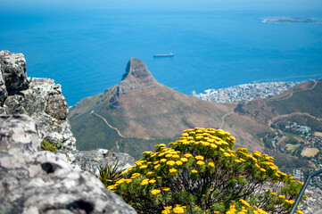 landscape with rocks and mountains