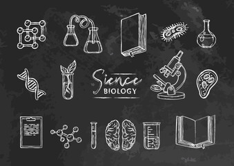 Vector set collection with elements of Biology science, chalk style on black board. Chalk doodles on textured chalkboard. Back to school and college supples. Microscope and flasks. Chalk texture 