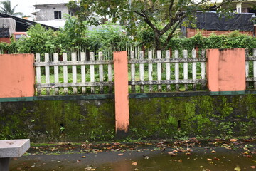 Boundary wall of a part with green algae