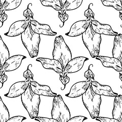 a pattern of clover leaf. seamless pattern of a hand-drawn sketch of a curved meadow clover leaf, highlighted with a black outline on white for a design template