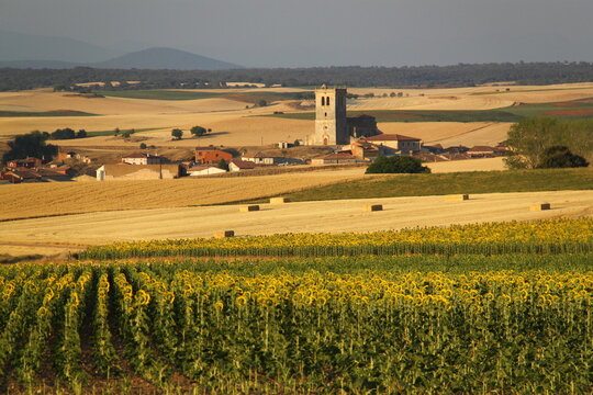 Castrillo Solarana 