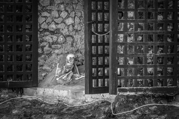 HERCULANEUM, ITALY - MAY 05, 2022 - Herculanean inhabitants vainly searched for shelter at the city...