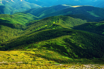 Carpathian mountain landscape