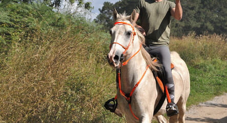 Homem a andar num cavalo branco, por um trilho pelo meio dos campos e serra © ajcsm