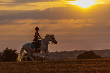 silhouette of a woman riding a horse at sunset