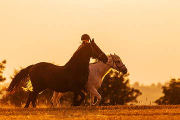 silhouette of a young woman riding a horse and the other is on a rope