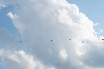 Skoki spadochronowe na błękitnym niebie - obrazy, fototapety, plakaty