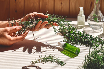 Alternative medicine. Women's hands tie a bunch of rosemary. Woman herbalist preparing fresh...