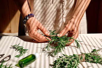 Alternative medicine. Women's hands tie a bunch of rosemary. Woman herbalist preparing fresh...