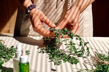Alternative medicine. Woman holding in her hands a bunch of marjoram. Herbalist woman preparing fresh scented organic herbs for natural herbal methods of treatment.