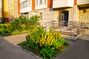 Fototapeta na wymiar Flowerbeds of bright yellow red flowers and various plants in front of the entrance of a residential building on a sunny day. Agriculture Landscaping landscaping of cities.