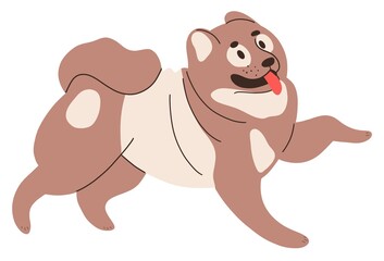 A dog runs happily with its tail up. Flat illustration of a pomeranian isolated on a white background