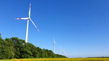 wind turbine in the field