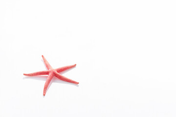 starfish on a white background representing the concept of vacation, rest, summer and relaxation.
