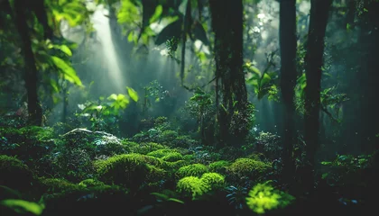 Keuken foto achterwand Grijs Exotisch mistig bos. Jungle panorama, bos oase. Mistig donker bos. Natuurlijk boslandschap. 3D illustratie.