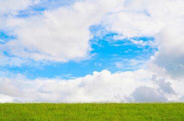 Fototapeta premium Green grass field with blue sky. Empty field in the summer with clouds in the sky.