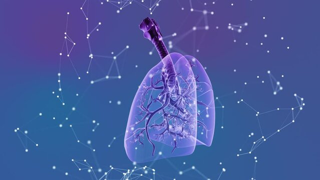Human lungs with plexus medical background