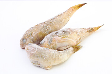 Fresh-frozen goby fish. Black Sea goby with ice on the surface. Fresh fish in frost. isolated
