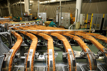 Large biscuit factory. A line of biscuits in a large factory. Packing crackers on the machine. Innovative production.