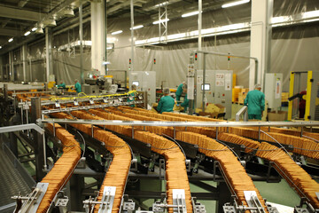 A lot of cookies on the production line. The flow of sweets before packaging. Packing crackers on the machine. Innovative production.