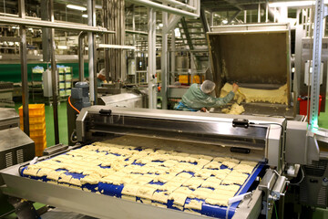 Dough cutting line for biscuits. The latest biscuit production line. Large biscuit factory.
