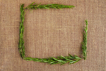 green rosemary sprigs on burlap
