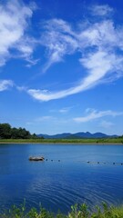 もっこく池（水質の綺麗な調整池）3【香川県仲多度郡まんのう町】