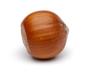 hazelnut isolated on white background