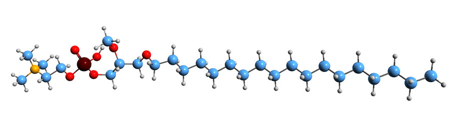  3D image of Edelfosine skeletal formula - molecular chemical structure of  alkyl-lysophospholipid isolated on white background
