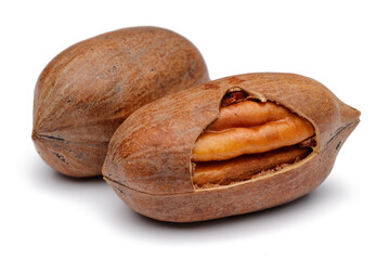 pecan nuts isolated on white background