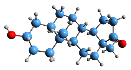 3D image of Epiandrosterone skeletal formula - molecular chemical structure of isoandrosterone isolated on white background