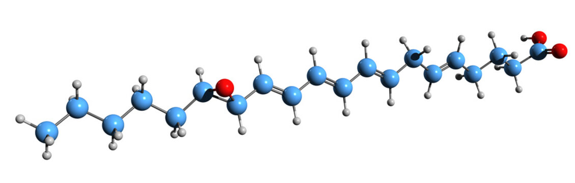 3D image of Eoxin A4 skeletal formula - molecular chemical structure of leukotriene A4 isolated on white background
