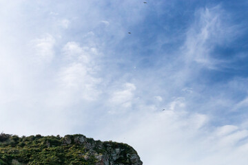 blue sky with green meadows below