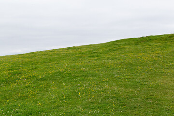 Obraz premium blue sky with green meadows below