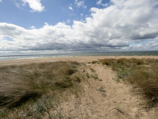 Seagulls and other birds on the beach in Hel, in the background the Bay of Puck and the coastal...