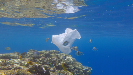 Plastic pollution of the Ocean, a discarded wtite plastic bag on tropical coral reef, on the blue...