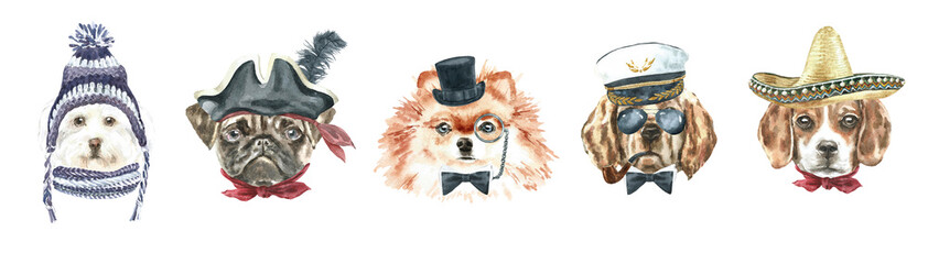 Watercolor dog breed daschund,beagle, chihuahua,pug,akita  illustration set, dog head hipster portrait, cute funny dog in costume classic hat, navy officer hat, cowboy,pirate, fashion print, sticker,