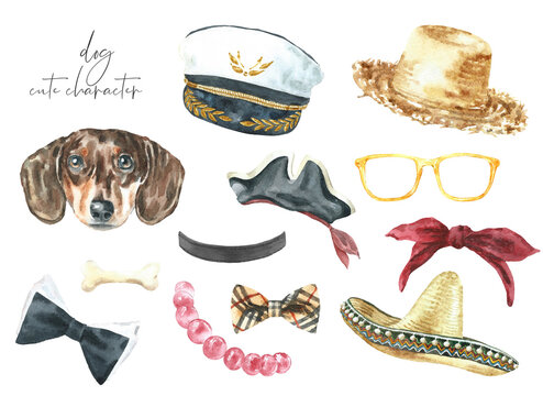 Watercolor cute dog and accessories illustration set.dachshund breed,funny clothes,fashion elements, create hipster character, overlay, greeting card invite  