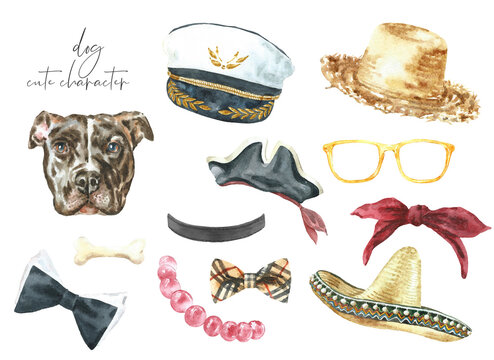 Watercolor cute dog and accessories illustration set.Pit bull breed,funny clothes,fashion elements, create hipster character, overlay, greeting card invite  