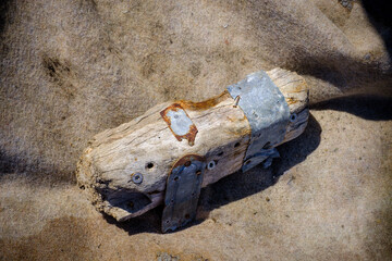Piece of wood from shipwreck