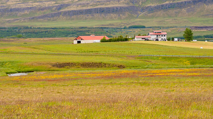 Fototapeta na wymiar Fields and farmhouse in front of mountains under cloudy day in Iceland
