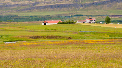 Fototapeta premium Fields and farmhouse in front of mountains under cloudy day in Iceland