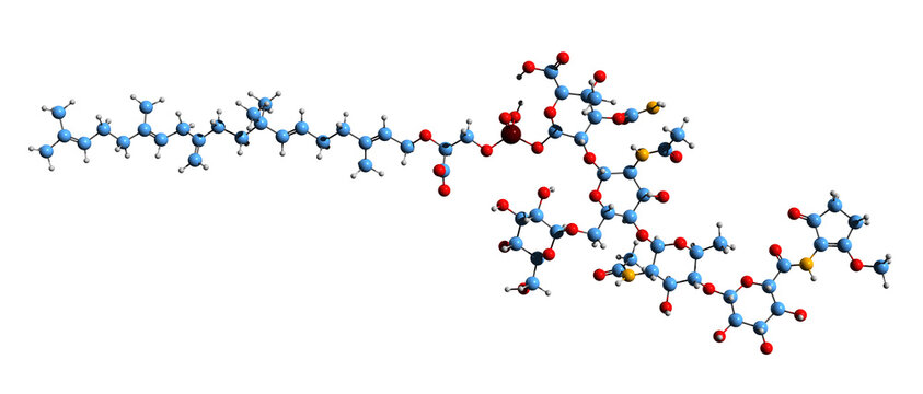 3D image of Flavophospholipol skeletal formula - molecular chemical structure of complex of antibiotics Е712 isolated on white background

