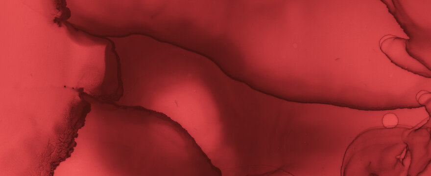 Abstract Blood Background. Rose Fluid Wallpaper.