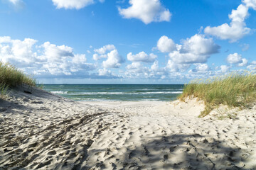 Entrance to a sandy beach through dunes, Baltic Sea near Łeba, Poland, Europe. Summer, little...