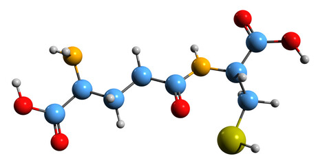  3D image of gamma-L-Glutamyl-L-cysteine skeletal formula - molecular chemical structure of  metabolite isolated on white background
