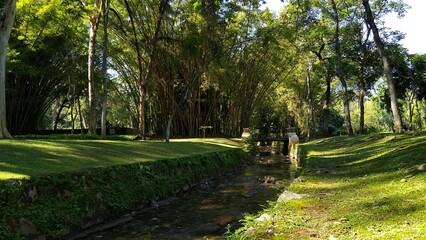 path in the park
